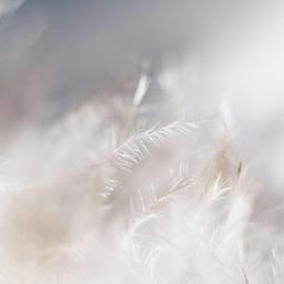 Strong Presence, Soft Edges: Confidence Without Crowding