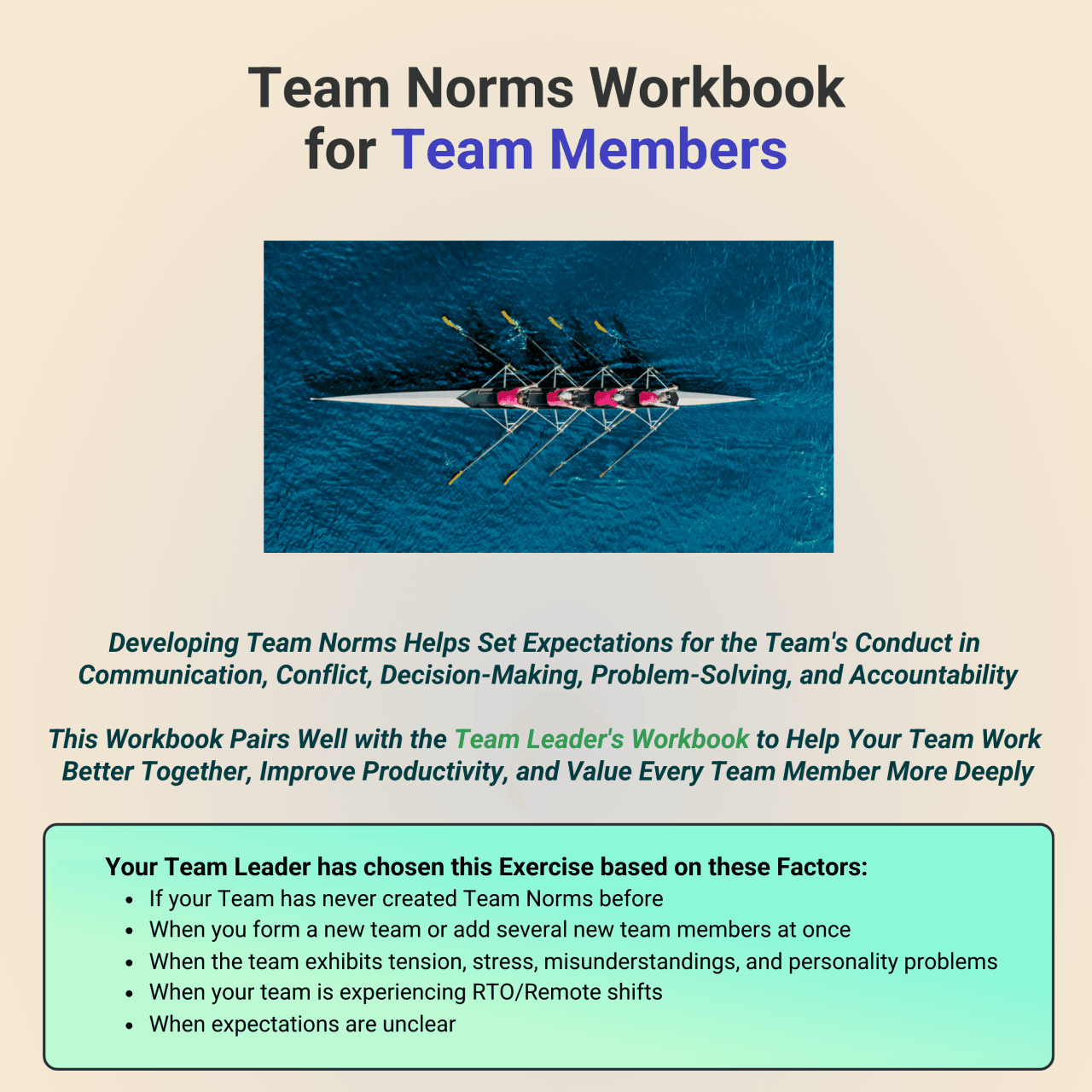 Access my Team Norms Workbook for Team Members here!