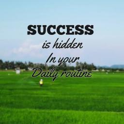 The Rule of 5: A Simple System for Daily Success