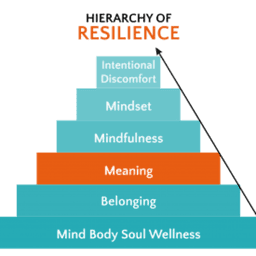 THE ART OF AGING: A RESILIENCE RESET 