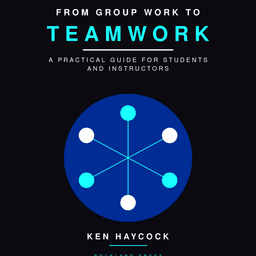 From Group Work to Teamwork: A Practical Guide.