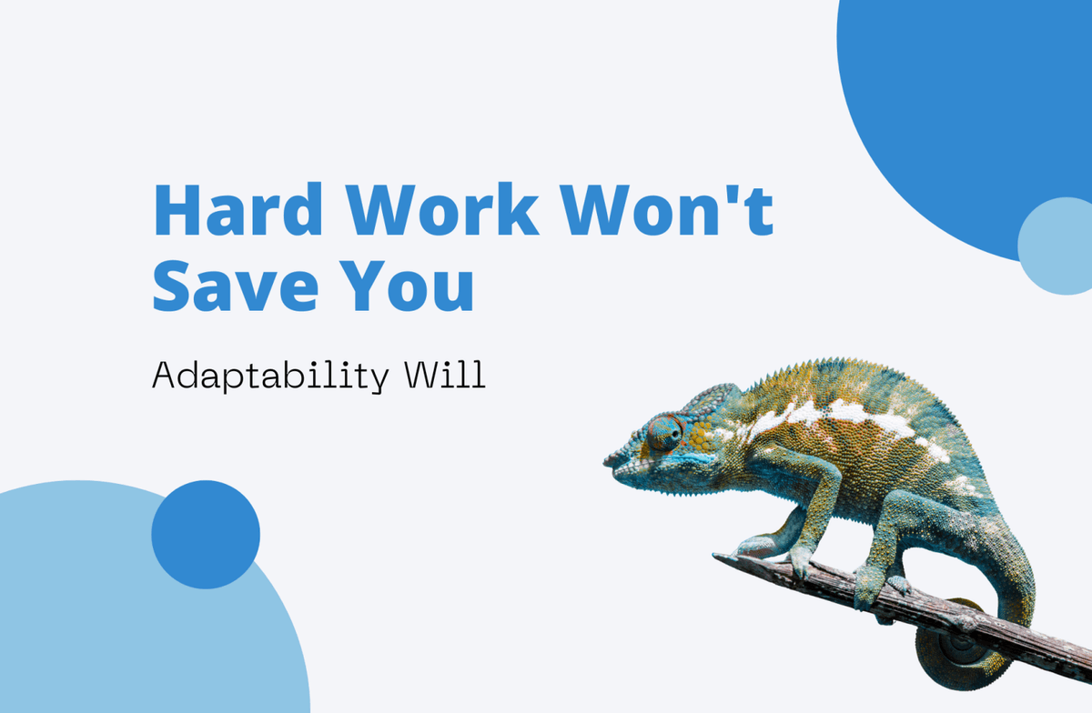 Hard Work Won't Save You